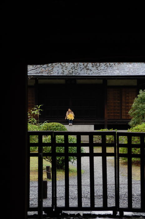 雨の渉成園_f0032011_2091555.jpg