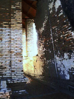 a0055913_033196.gif