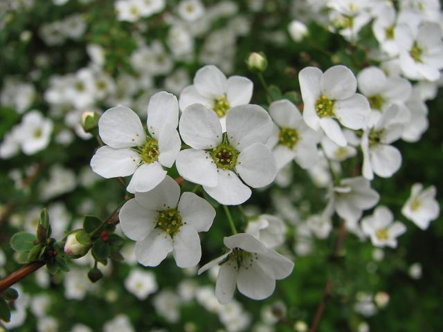 f0099535_18224128.jpg