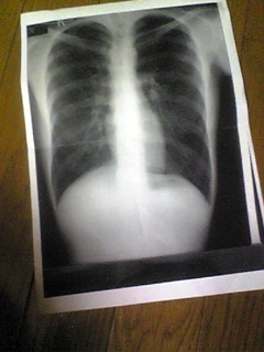 b0006236_22404217.jpg