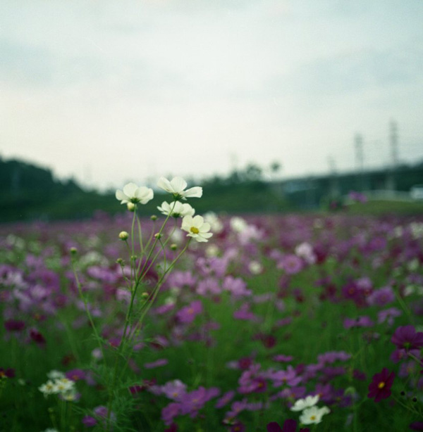 d0103236_18871.jpg