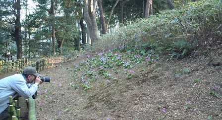 b0028746_16284731.jpg