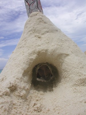 e0027447_04475.jpg
