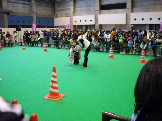 e0098547_58231.jpg