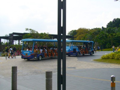c0070849_1471345.jpg