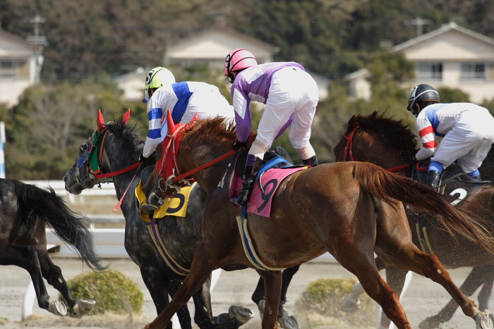 2007年3月21日(水) 高知競馬 6R QVCジャパン特別_a0077663_18413024.jpg