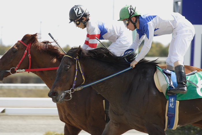 2007年3月21日(水) 高知競馬 6R QVCジャパン特別_a0077663_1842883.jpg