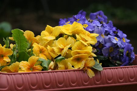 d0048067_0105664.jpg