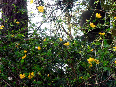 f0086169_2314571.jpg