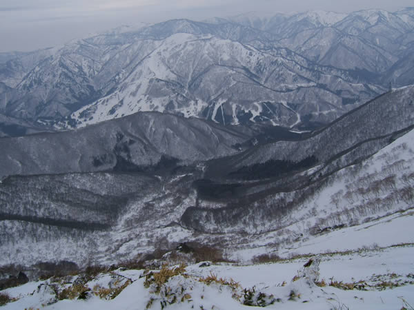 d0079579_10141247.jpg