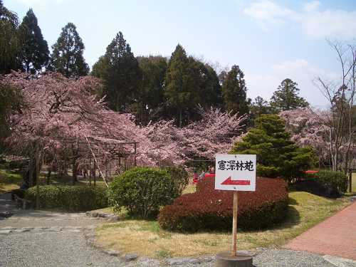 青春18きっぷの旅　京都醍醐寺_f0118282_21554946.jpg