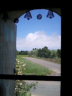 c0052091_1743986.jpg