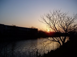 夕陽とライオン_d0104091_00393.jpg