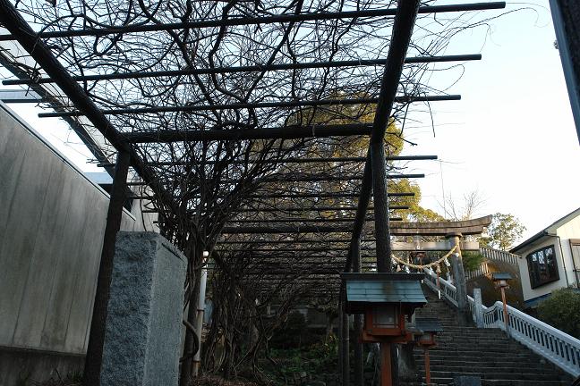 第98首 中山義治 (埼玉県)_a0050405_74312.jpg