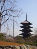 b0101106_1447494.jpg
