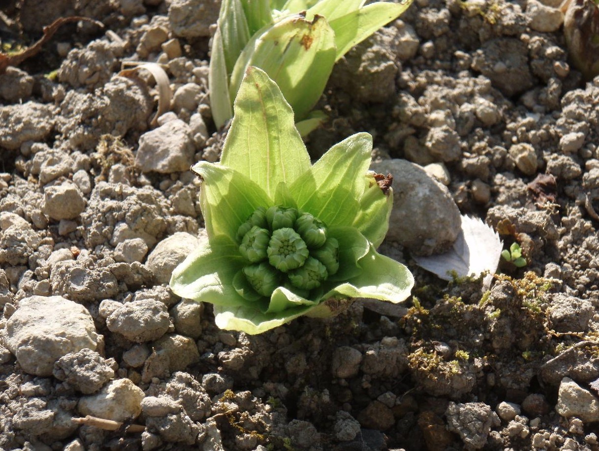 d0051106_236051.jpg