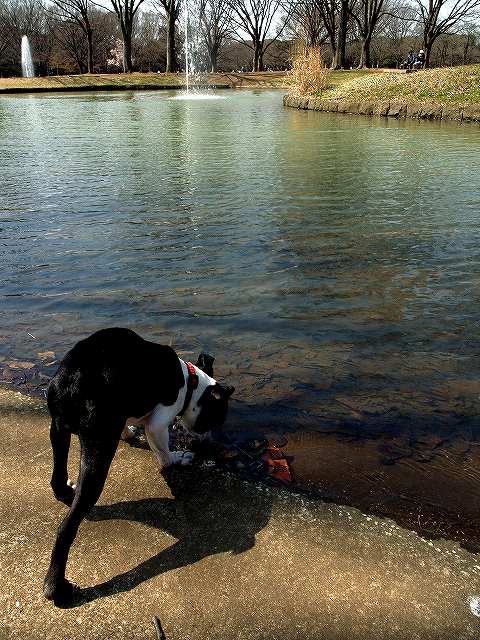 c0071611_914244.jpg