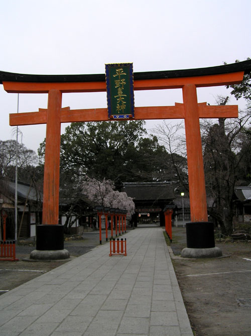 京都　平野神社さきがけ桜_e0048413_21373035.jpg