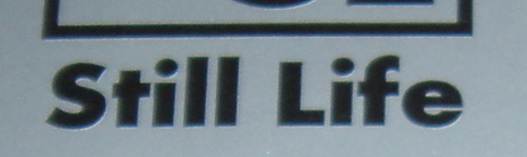 1/3 Life!!・・・?_f0025427_074831.jpg