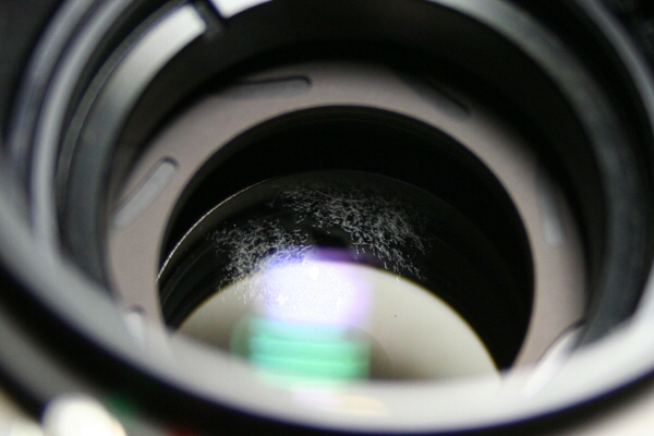 Mamiya K/L 90mm f3.5 内部小カビ？汚れ？あり