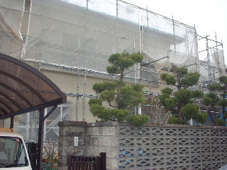 吹き付け終了_f0031037_1720045.jpg