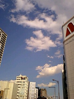 こんにゃく釣り_f0027046_1238962.jpg