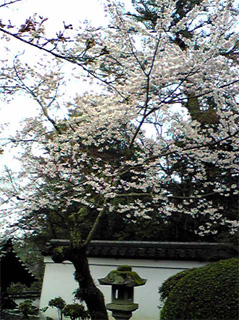 f0065954_20125294.jpg