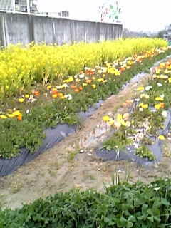 f0073958_15104630.jpg