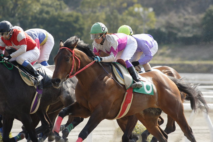 2007年3月21日（水） 高知競馬 7R リバーセキトバ号特別_a0077663_19324233.jpg