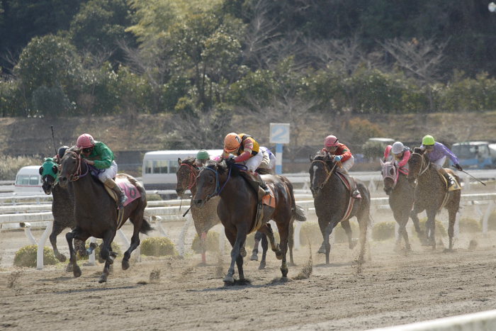 2007年3月21日(水) 高知競馬 7R リバーセキトバ号特別_a0077663_19325965.jpg