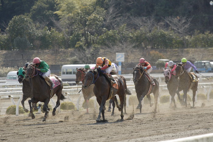 2007年3月21日（水） 高知競馬 7R リバーセキトバ号特別_a0077663_19325965.jpg