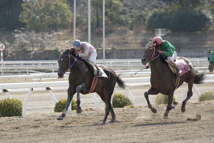 2007年3月21日(水) 高知競馬 7R リバーセキトバ号特別_a0077663_1933748.jpg