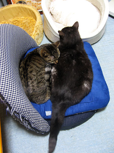d0002472_03673.jpg