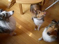 f0087779_00218.jpg