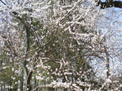 f0007580_22543387.jpg