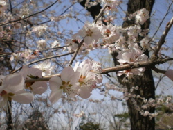 f0007580_2254719.jpg