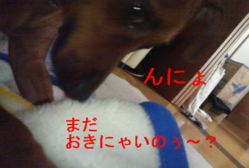 f0123589_10185425.jpg