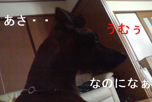 f0123589_10264423.jpg