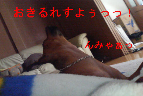 f0123589_10392782.jpg