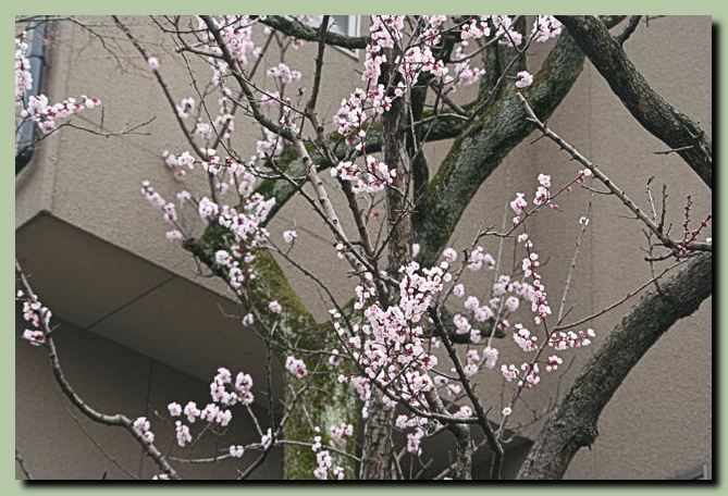 f0079990_1115111.jpg