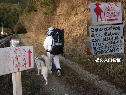 3月10日 春遍路 第5日目~山、また山_c0049299_11501968.jpg