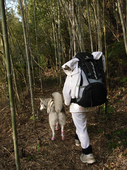 3月10日 春遍路 第5日目~山、また山_c0049299_11505156.jpg
