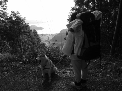 3月10日 春遍路 第5日目~山、また山_c0049299_11511495.jpg
