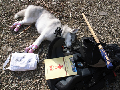 3月10日 春遍路 第5日目~山、また山_c0049299_11513791.jpg