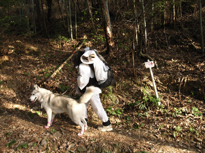 3月10日 春遍路 第5日目~山、また山_c0049299_115181.jpg