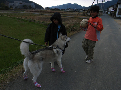 3月１０日　春遍路　第５日目～山、また山_c0049299_11522251.jpg