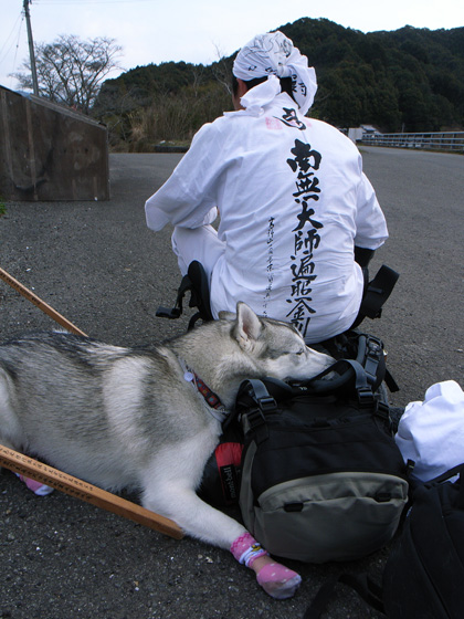 3月10日 春遍路 第5日目~山、また山_c0049299_11524060.jpg
