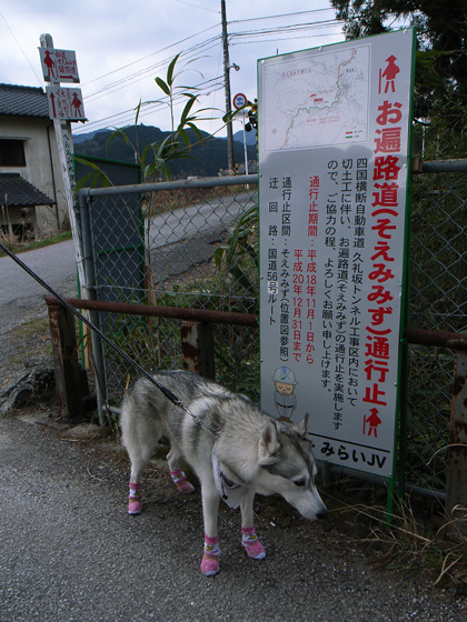 3月10日 春遍路 第5日目~山、また山_c0049299_1152512.jpg