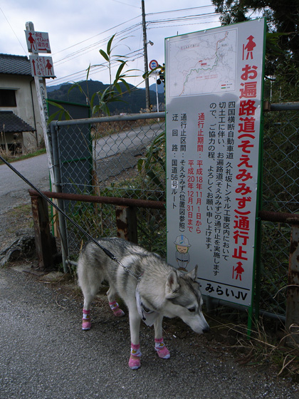 3月１０日　春遍路　第５日目～山、また山_c0049299_1152512.jpg