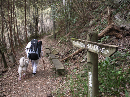 3月10日 春遍路 第5日目~山、また山_c0049299_11531570.jpg